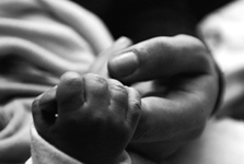 Picture of someones hand holding a new born's hand